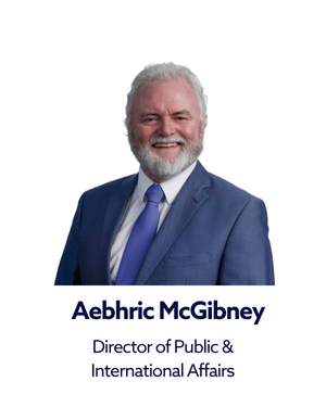 Aebhric McGibney